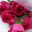 @Ritam108