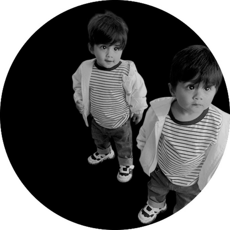 The Twins