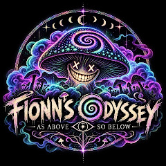 B33N FIONN