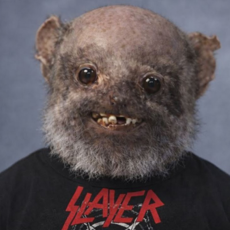 The Webas Metal