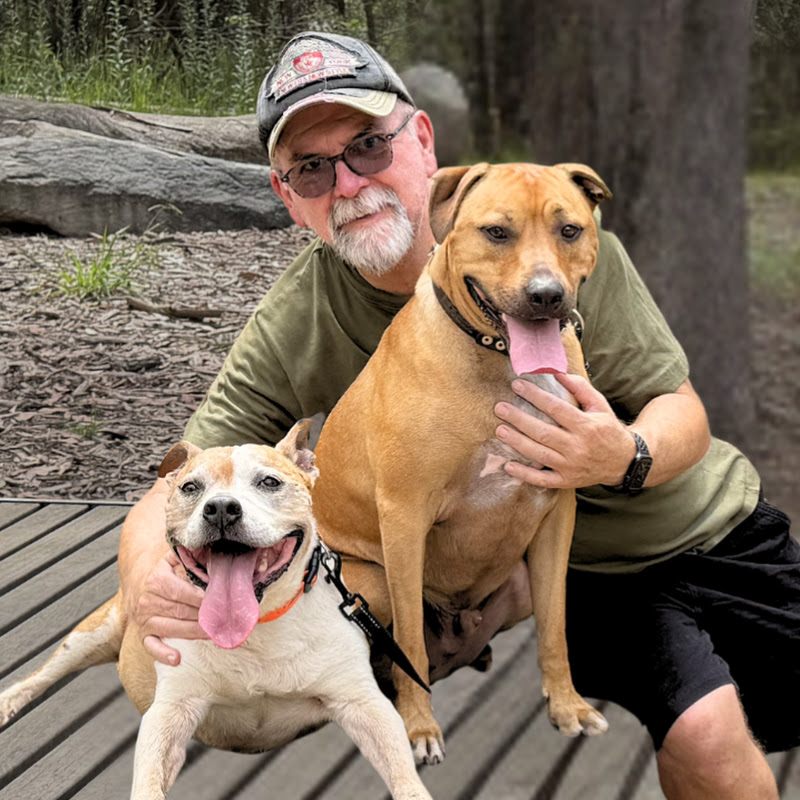 Meet The Staffies