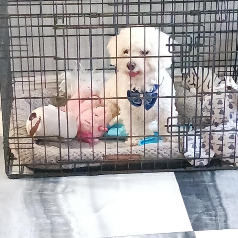 Hire netomac — Mom Vlogs & Family Life (Older Kids) YouTube creator for sponsorships