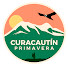 gMyuYSHQi4U-channel-avatar-Canal Curacautín