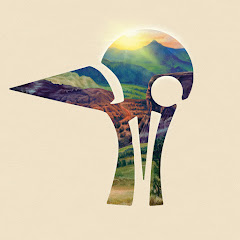Futurebirds