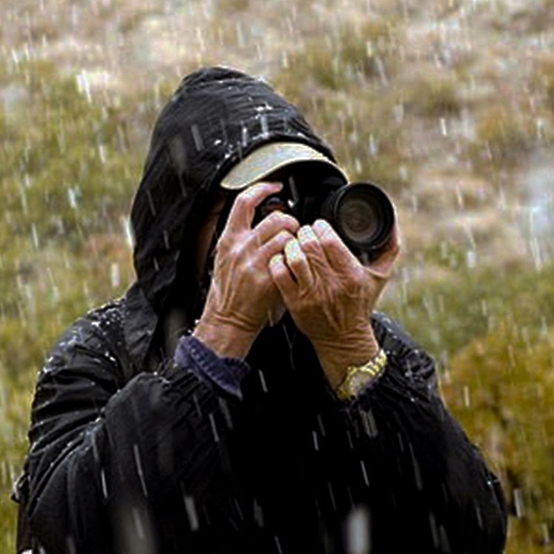 Ocean Sounds Collection