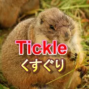 たまごっちょ25くすぐりtickle【tamagotcho25】