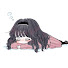 아리세
