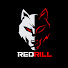 NdZoeFWgCVQ-channel-avatar-RedRill