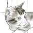 qJGyA70_nA4-channel-avatar-野良猫ハル商店