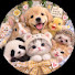 WzKa4chdxV0-channel-avatar-Sal animals toys