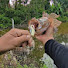 punuH_eY4pU-channel-avatar-anglergabus10