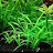 @dreamaquascape799 Avatar