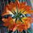 @user-hsy320