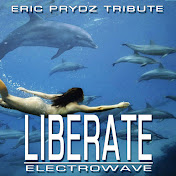 Electrowave - トピック