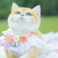 スカッとする話 #066