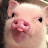 @gubsxx's avatar