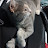 @wangan_runner-s2i Avatar