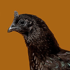 Thumbnail of related channel