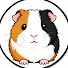 PXNmZs2qHPY-channel-avatar-4 LEG Drive