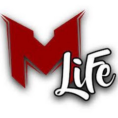 MrLEV12'Life net worth