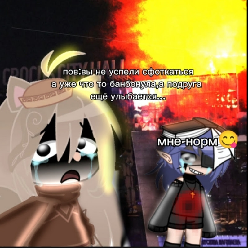 °•ɴɪᴋᴀ ᴀɴᴅ 13 ᴄᴀʀᴅs•°