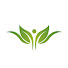 IlNrnz8vwuA-channel-avatar-NutriHealthy