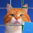 Jigsawart Solitaire icon