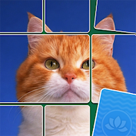 Jigsawart Solitaire icon