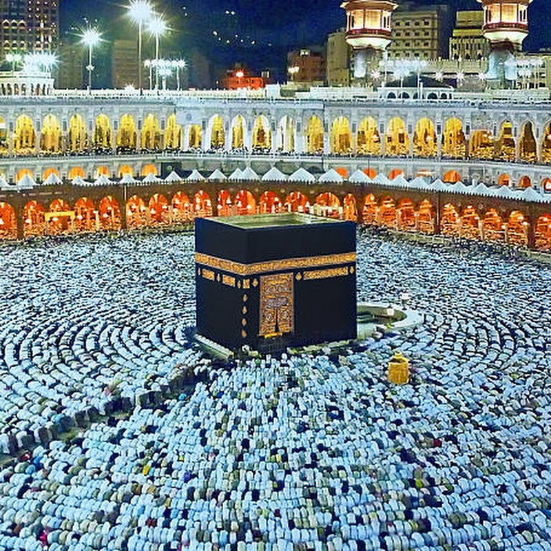 Islam.o1