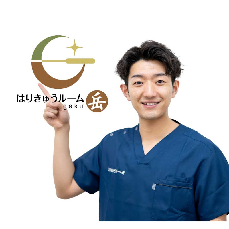 耳鼻科専門GAKU鍼灸院〜こころ整骨院グループ〜