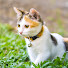 BKyigiWyV_c-channel-avatar-single mom-Huong04