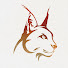 u8U_nkDYdRw-channel-avatar-Xipandza Mananga