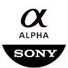 What could Sony I Alpha Universe buy with $317.81 thousand?
