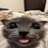 wypIjb67F2c-channel-avatar-Fl0zxy