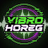 E8sV9i9b9_0-channel-avatar-VibroHoreg