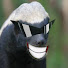 47ufLFET84I-channel-avatar-MrTopiczz