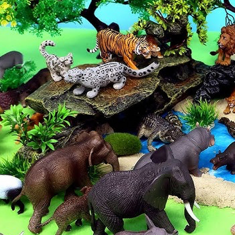 Asmr Creative Toys🧸 