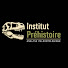 qmP-xjaIWE8-channel-avatar-institut prehistoire