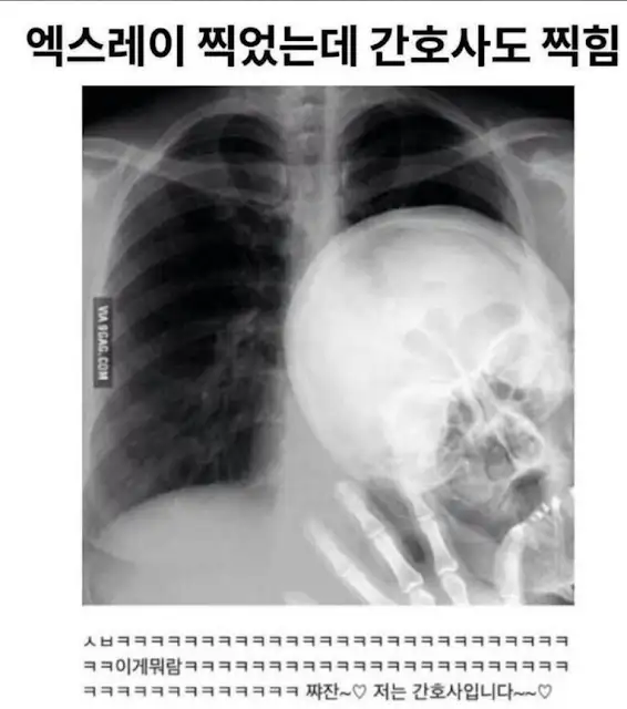 BlockNote image