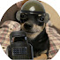 ik-QTTFkQoI-channel-avatar-Chaos Creator67