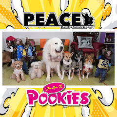 PEACE【アニマルトレーナーの小さな会社】