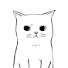 bI0rLCZuNy8-channel-avatar-山寨猫 Copy Cat