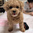 @회더팝
