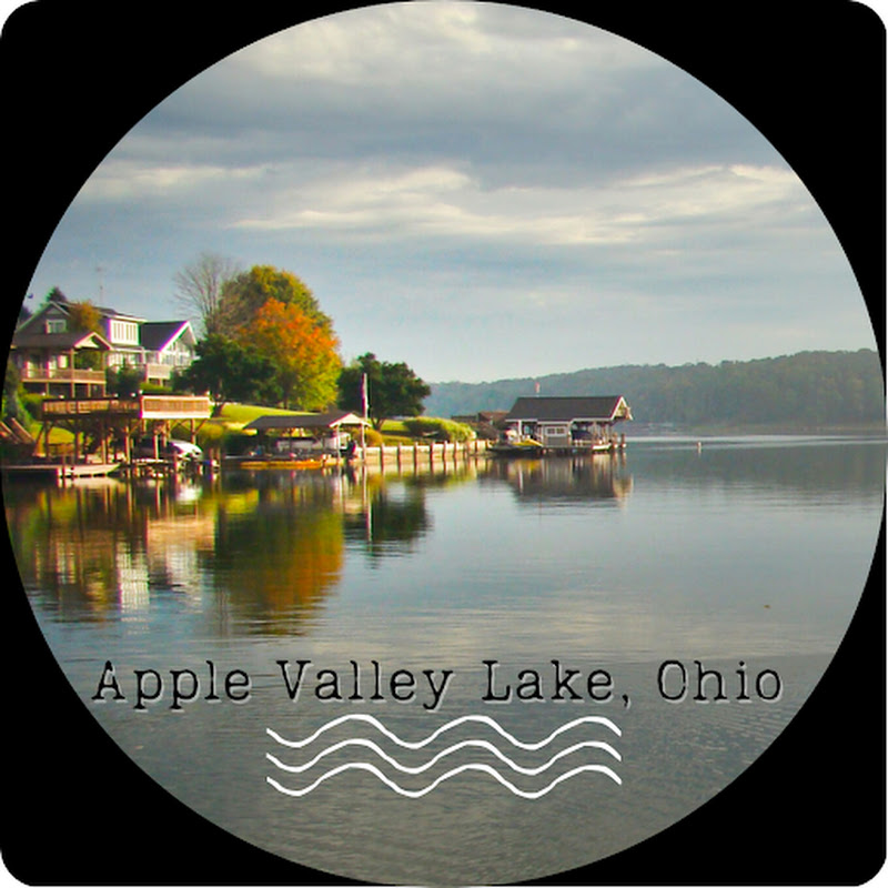 RE/MAX Consultant Group | Apple Valley Lake logo