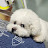 @TV-yo9ll