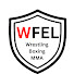 s_DBrjJOkhY-channel-avatar-WFEL