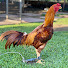 Uj0lJRg6iwI-channel-avatar-Huynh Đong Nai fam