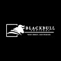 BlackBull Advisors logo