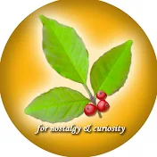 「ゼロ庭」ガーデニング