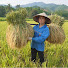 YRyioqKZv64-channel-avatar-Lý Tiểu Ly